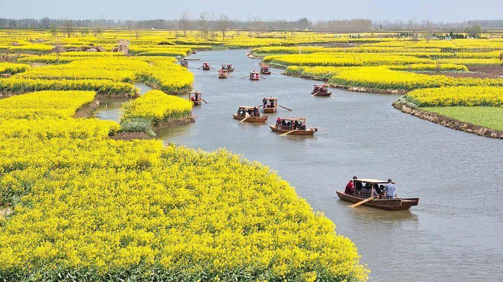 【新微专题】天文视角看垛田，什么是设备蔬菜？附机械防沙办法、节水节肥种植手艺、秋浇专题