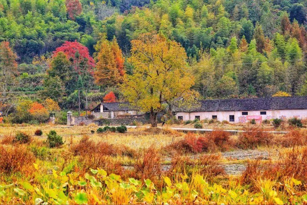 旅游与摄影 | 9个安徽古村古镇，别样风情风味