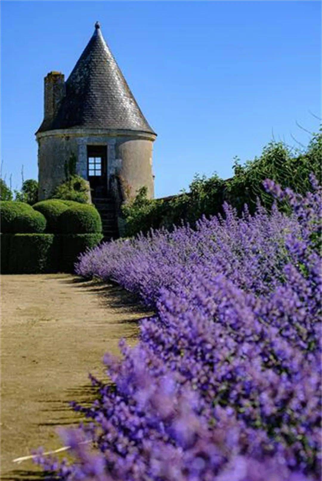 浴火重生的斑斓 | Château de Valmer 瓦尔默城堡花园