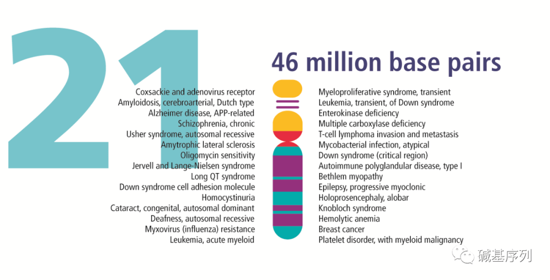 21号染色体及相关疾病_综合征_人类_体细胞