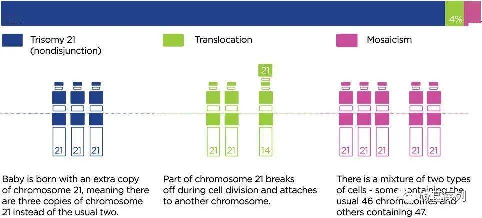 21号染色体及相关疾病_综合征_人类_体细胞
