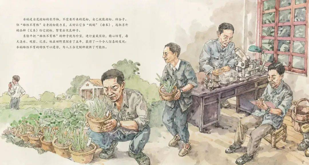 周南梅溪湖小学教师共读袁隆平的故事_科学_禾下_课堂