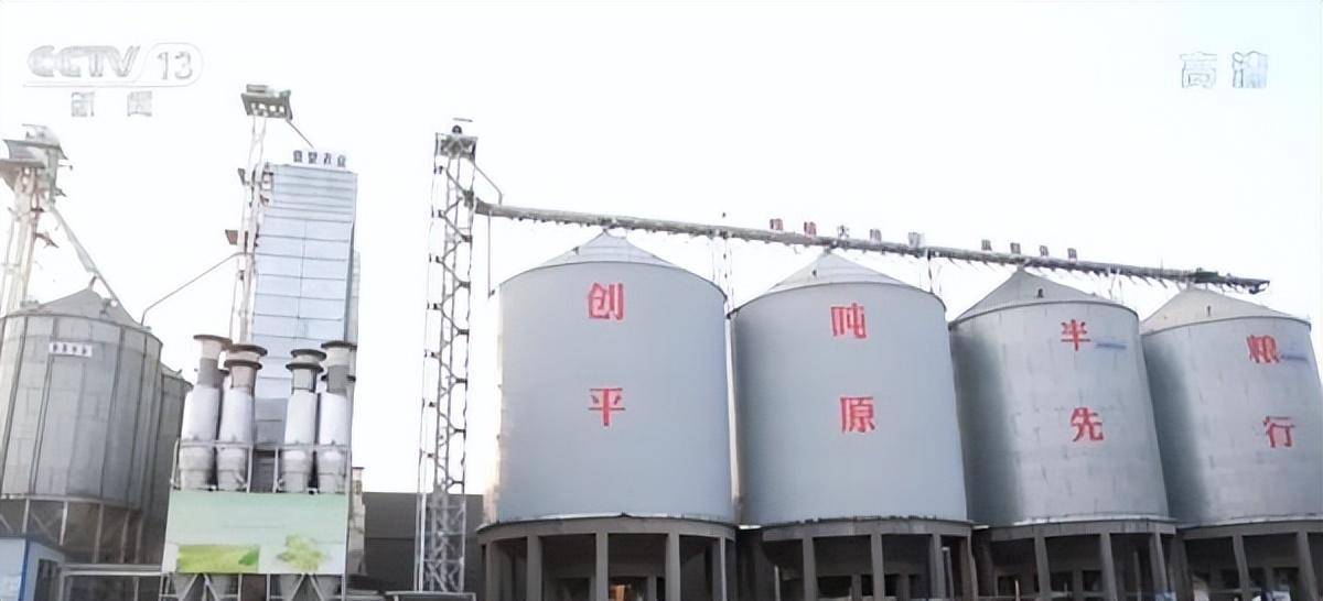 我国粮食全链条减损取得积极进展 一项项数据里看亮点_加工_损失_环节