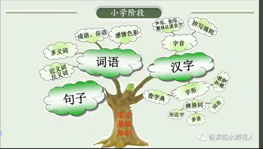 【导图作文 我有一个想法】三年级作文  周唯《保护环境，人人有责》（十二）  三年级作文 第13张