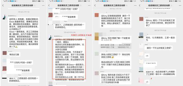 刷爆朋友圈的女版"罗永浩"真相反转…_公司_直播间_债务