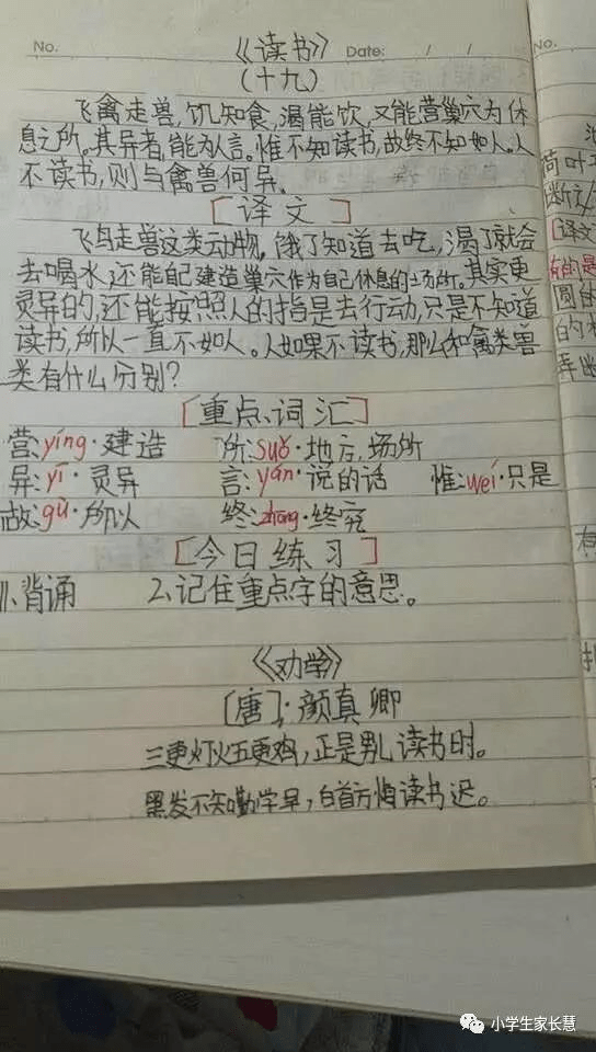 【小学生必读小古文100篇】第二十篇：《读书有三到》