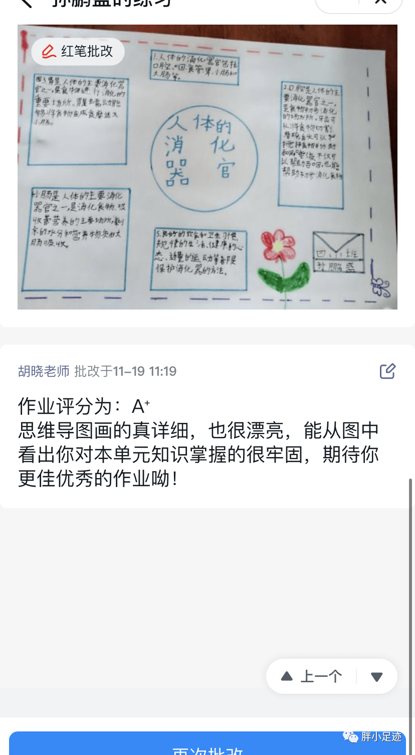 线上教学办法多(数学组 科学组)_实验_妙招_进行