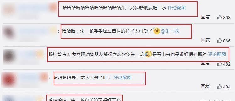 原创朱一龙“憨”上热搜，被羊驼连吐口水疯狂记仇，却被粉丝无情嘲笑