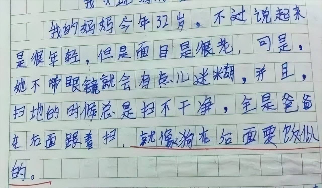 小学生自创《表白》一诗，语文老师甘拜下风，我当年怎么没想到  一年级作文 第11张