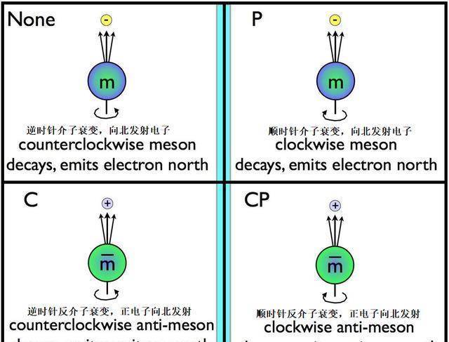 为什么我们是由物量而不是反物量构成的？