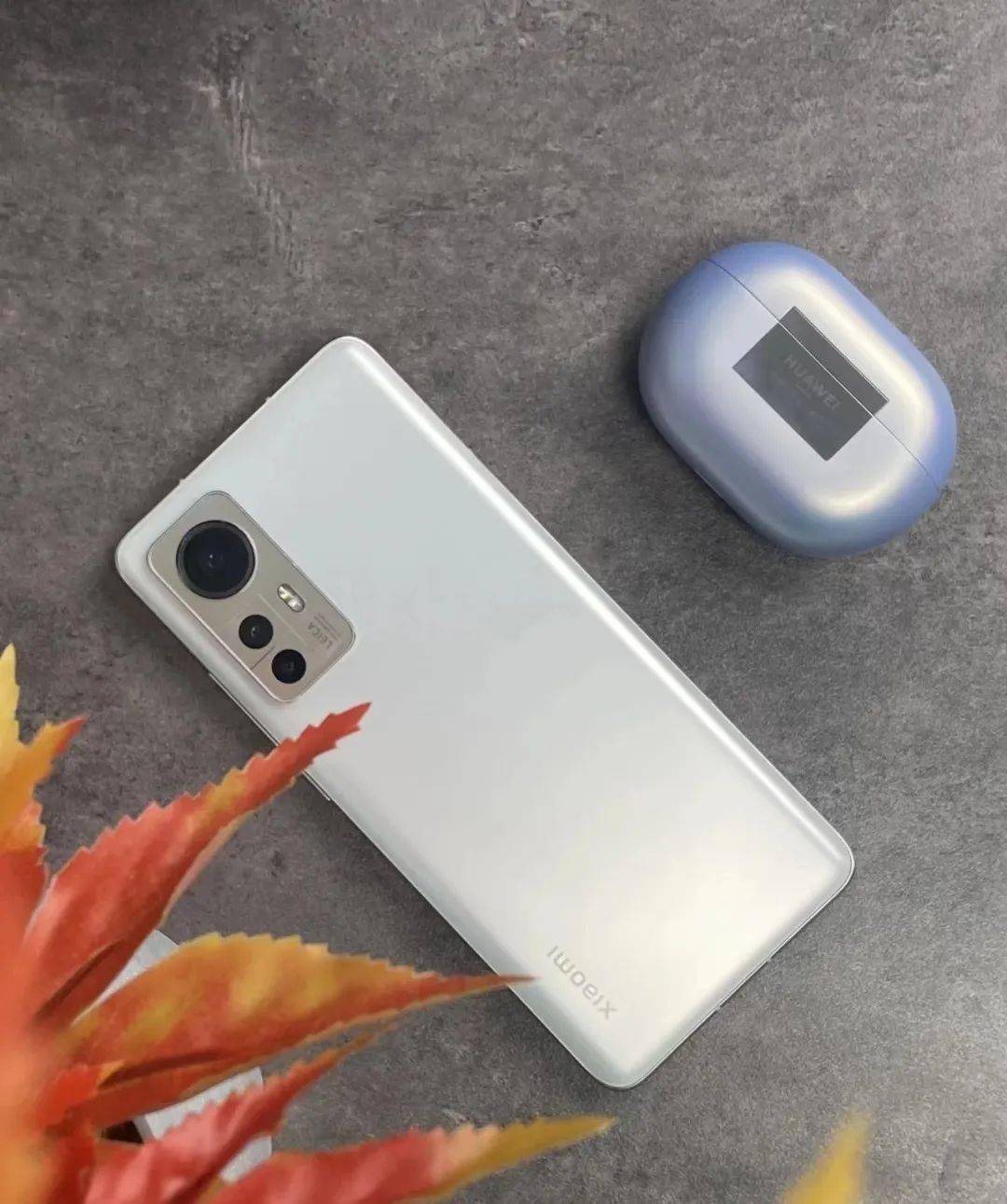 ǧ�������ƴ����� ����Ҳ̫�����˰� ����