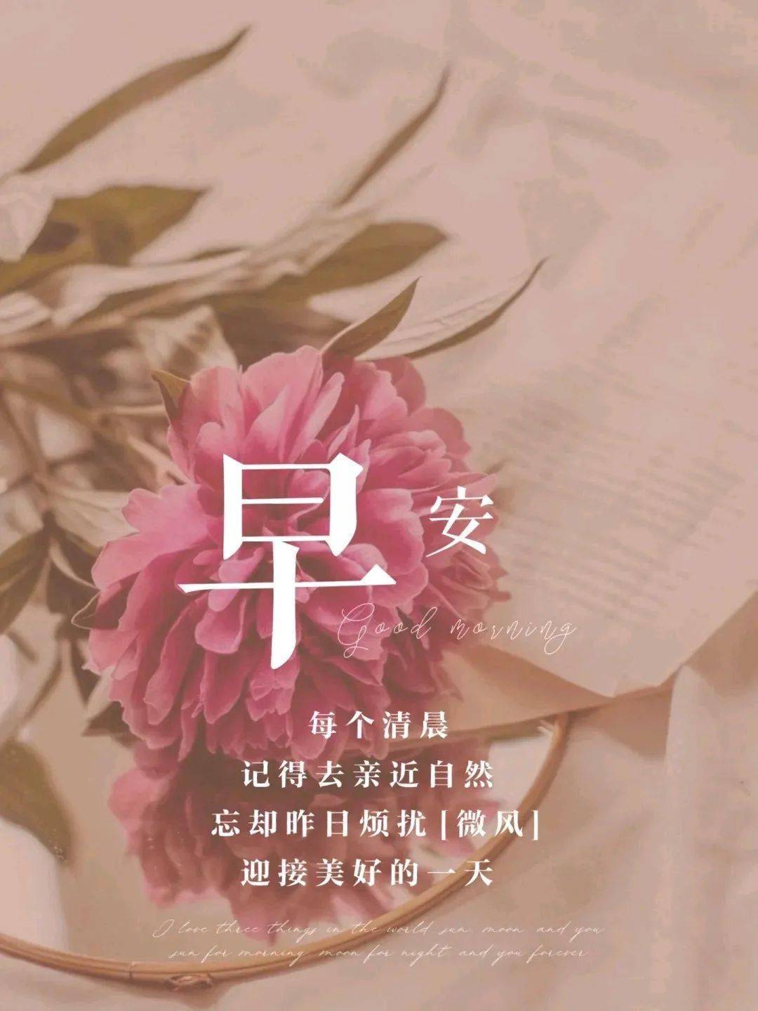 每日群发早安正能量经典语录 新的一天开始阳光励志语录 励志语录正能量 第3张