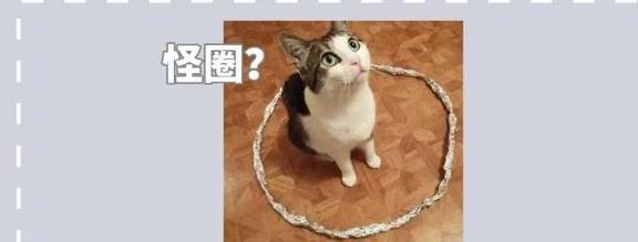 华为手机一个圆圈
:简单一个圆圈就能让猫咪乖乖听话？为什么如此神奇？