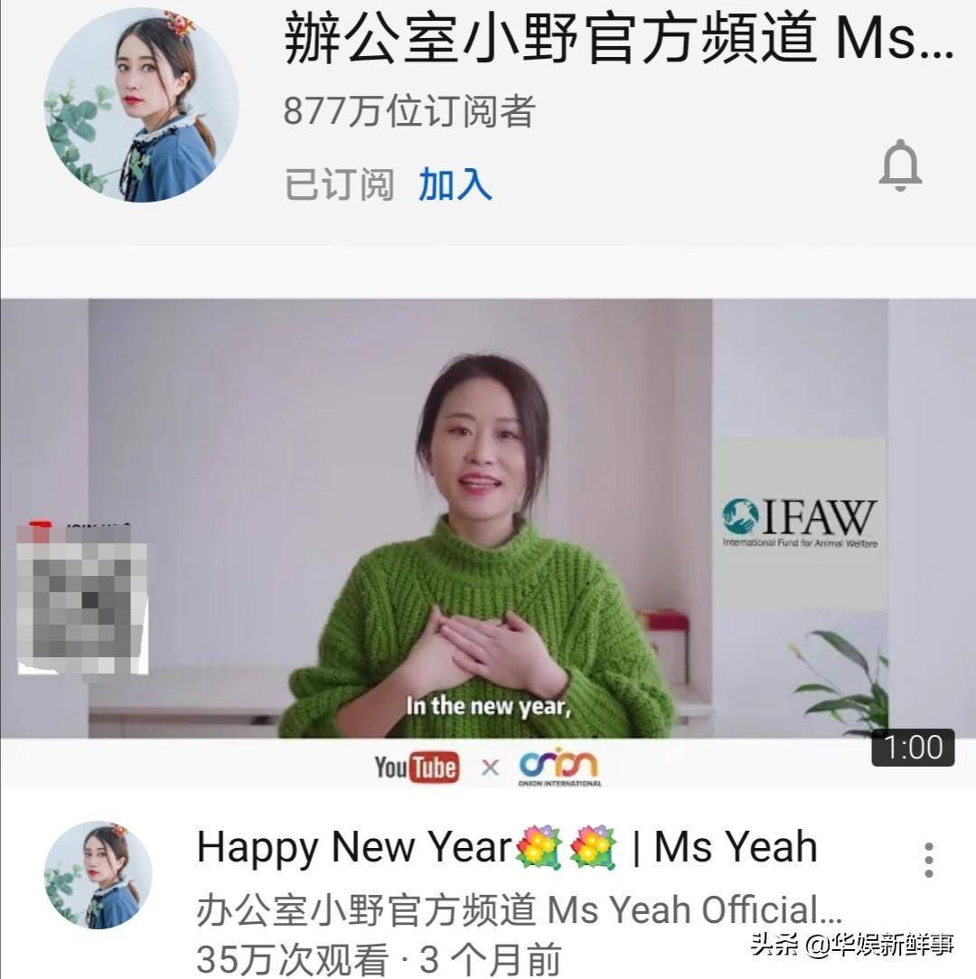 滇西小哥的订阅数为487万,这一成绩仍比港台的youtuber要高,目前有2