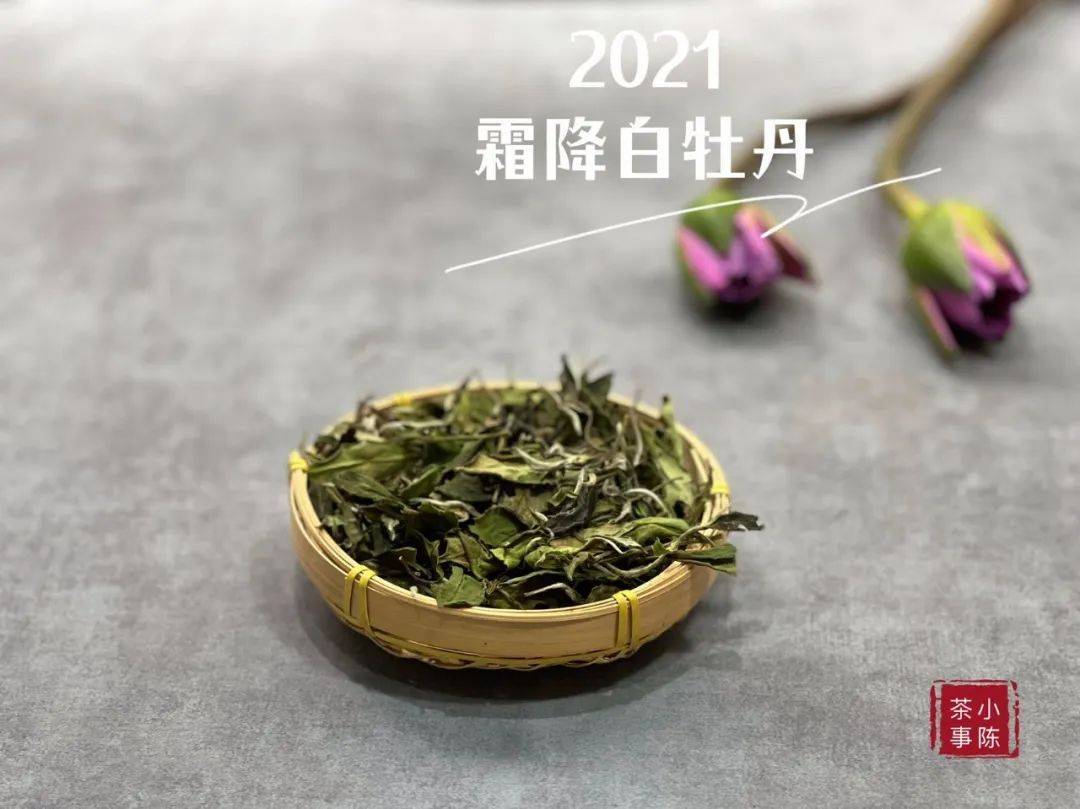 定点高冲、炭火烤茶、微波加热，这些茶叶提香诀窍，骗了你好多年