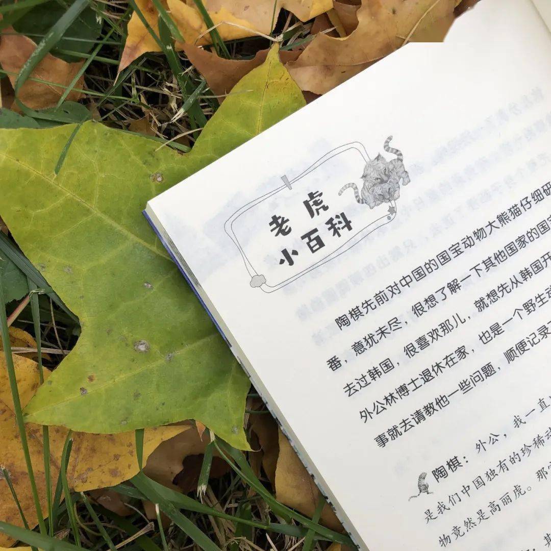 好书共读|传闻你喜好看大熊猫吃竹子，看山君撒娇？