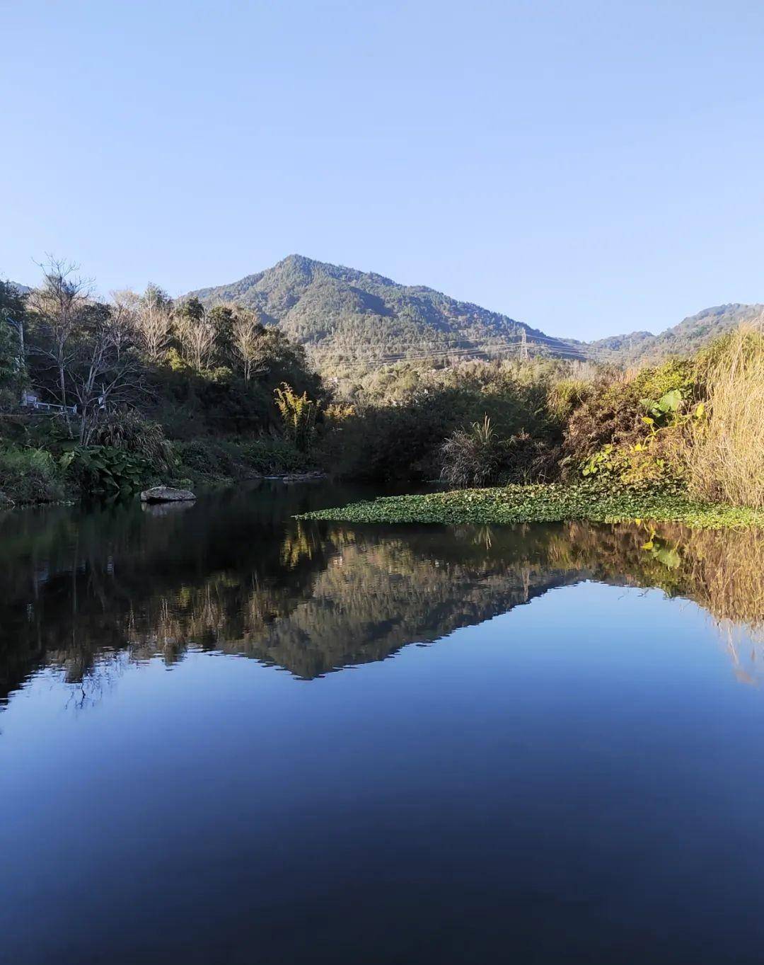 隐藏莆田大山中的千亩唐宋茶田，能否为福建贡茶的消费地？