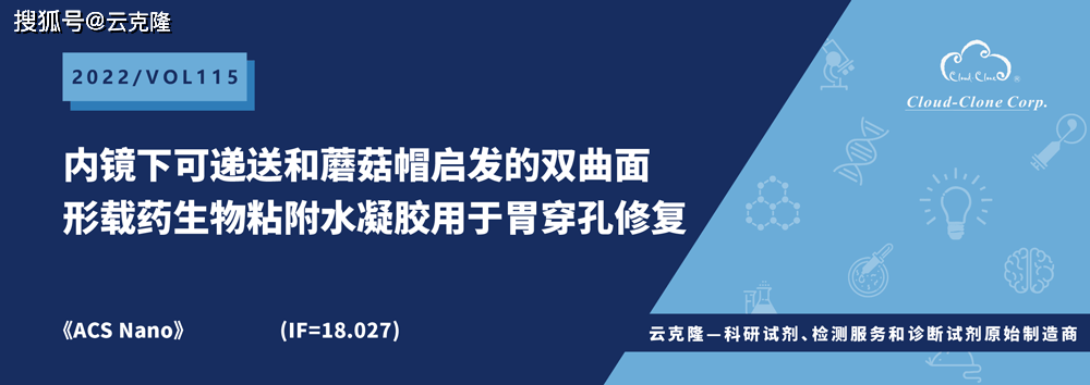 内镜下可递送和蘑菇帽启发的双曲面形载药生物粘附