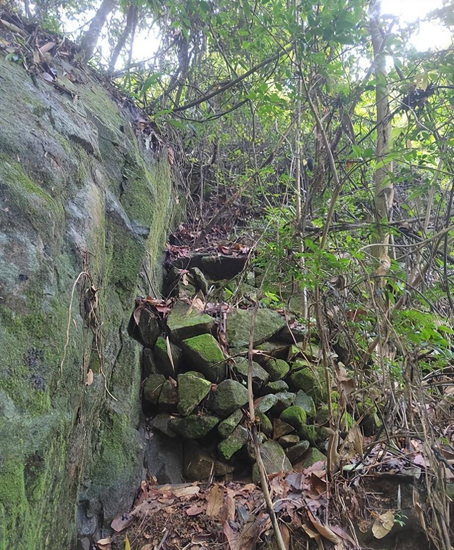 隐藏莆田大山中的千亩唐宋茶田，能否为福建贡茶的消费地？