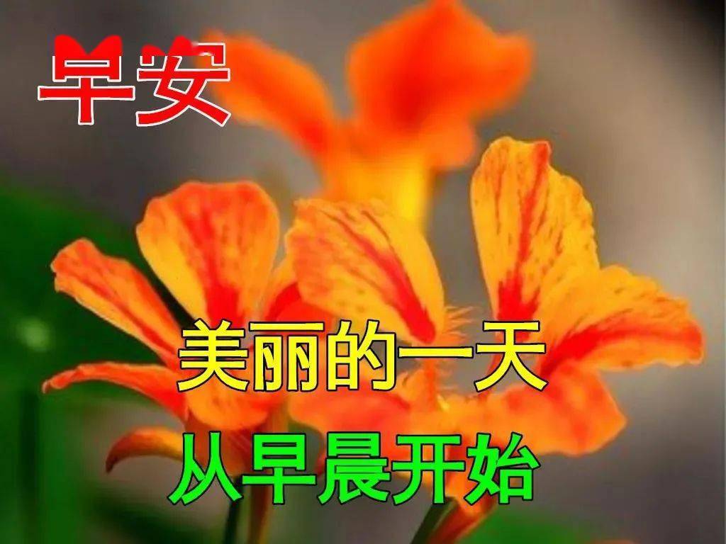 冬至早上好动态表情图片大全，冬至动图美图大全！