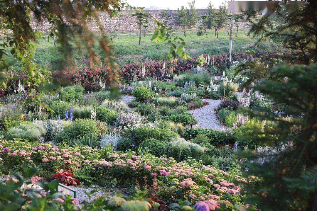 工科生转行种花，1年半打造50亩梦幻花园，超10个主题，26000多种动物