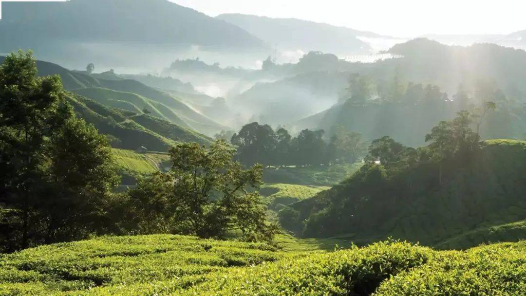 ���£��뾳̩������������磬�����10�������ȼپƵ�һ ...