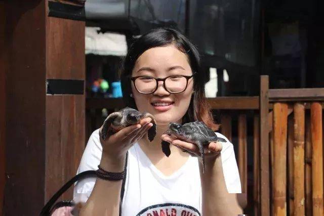 2023全新招募·巴厘岛海龟保育 | 在浪漫的巴厘岛碰见“重生”的本身