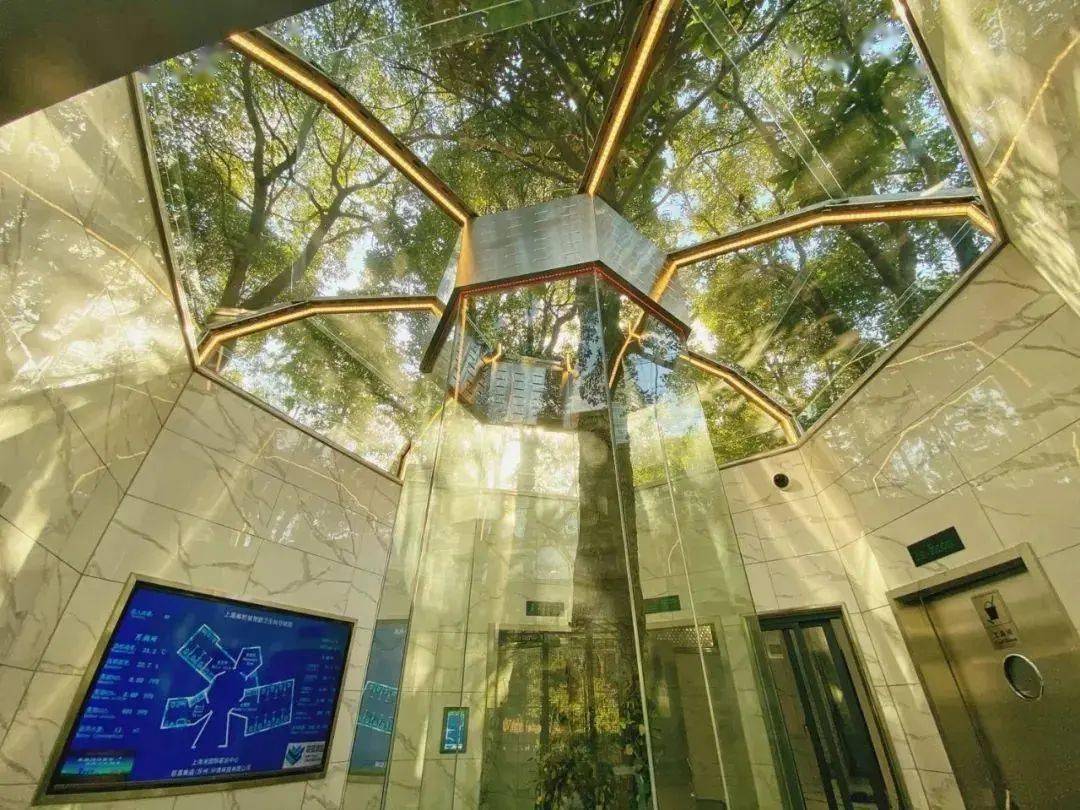 ���ֽ���һ4A��������������ȫ��������������������ʳ���� ...