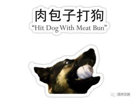 候阿金这才察觉自己到上当了但充进去的钱就是肉包子打狗——有去无回了