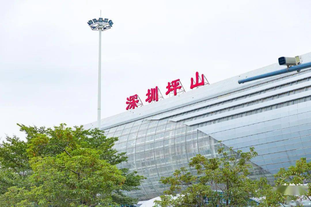两项全国大奖！坪山未来将全面开挂！