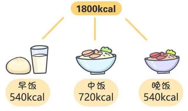 b体育一日三餐怎么吃最健康？赶紧学会给家人安排上(图2)