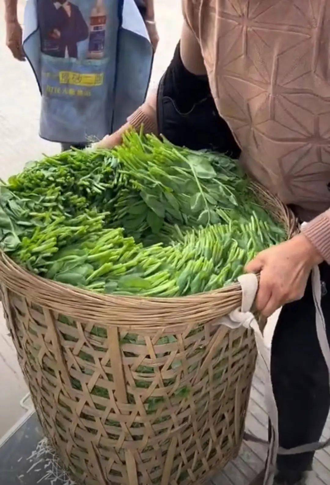 “视频曝光！厦门某特产店青天白日之下，掉地上的肉干就那么间接放归去了！”网友：堆成山的都不敢买