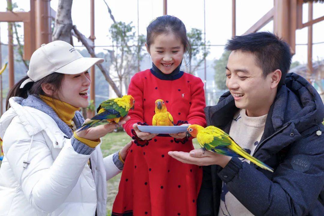 新年倒计时！乐和乐都铆足劲放大招