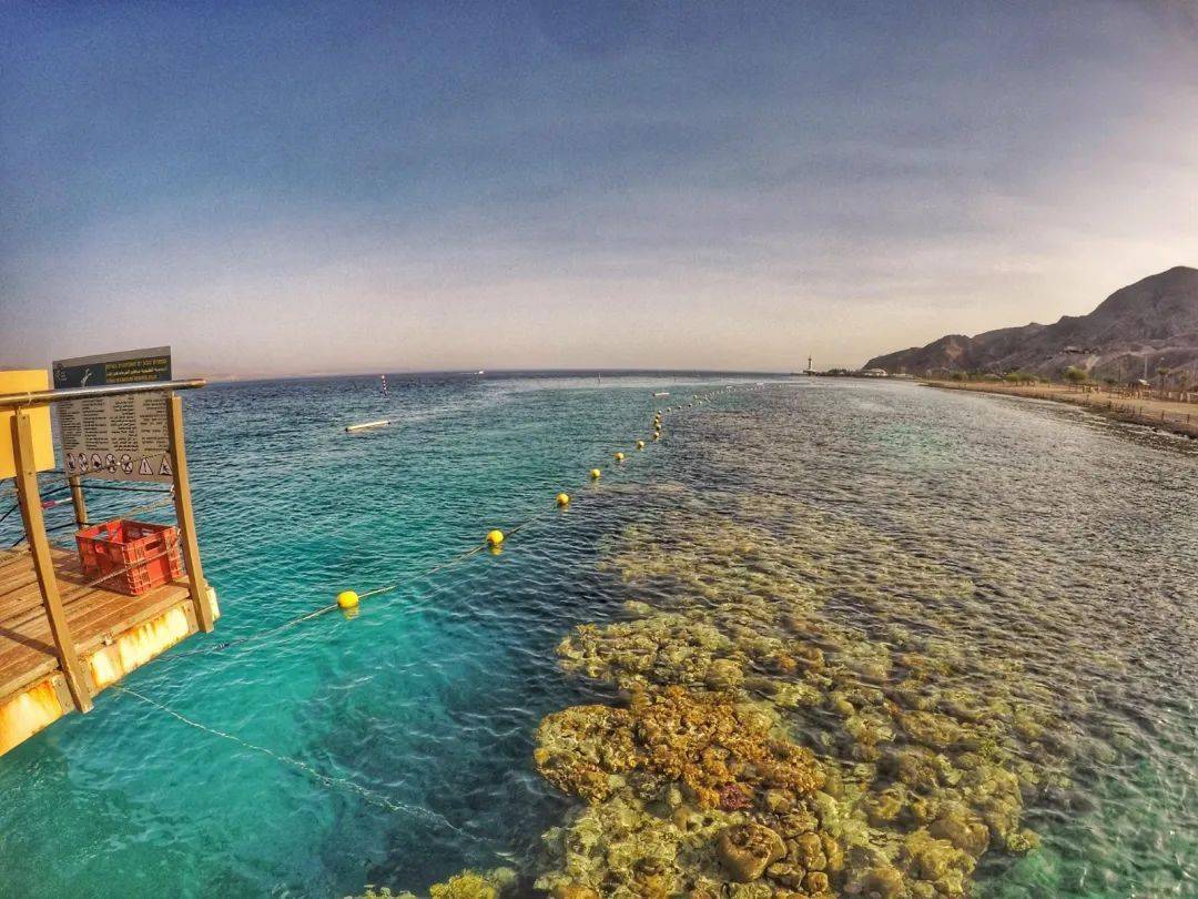 6��13��Ӧ��֮��Ү·����-��ɫ��Լ���Լ�֮��