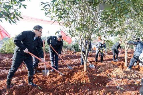 新春添新绿 | 江西各地开展新春义务植树活动