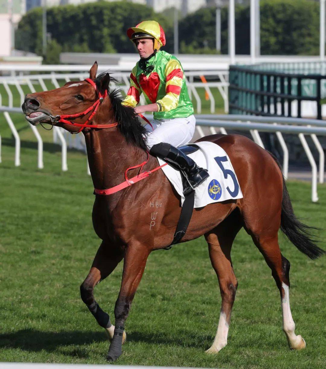 ������֮ս������ǹ��ʮ�����ۡ����±��� ���������ݡ�һ�� ...