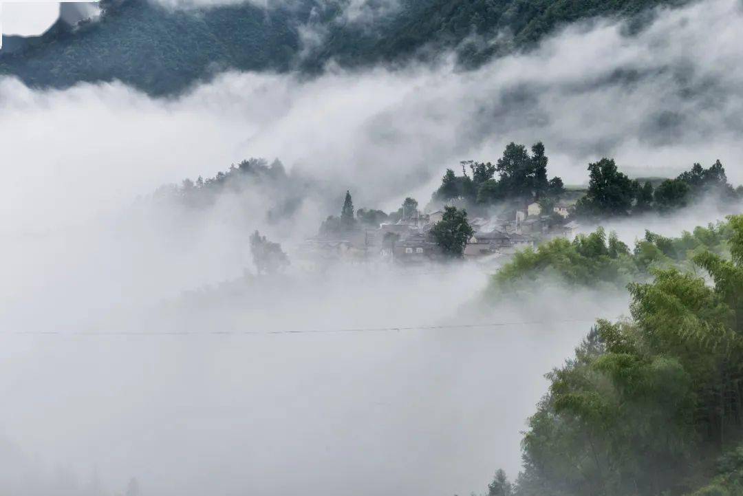 一房难求的民宿圈开山祖师，缔造全年100%入住率神话！悬崖峡谷野奢秘境，避世度假首选