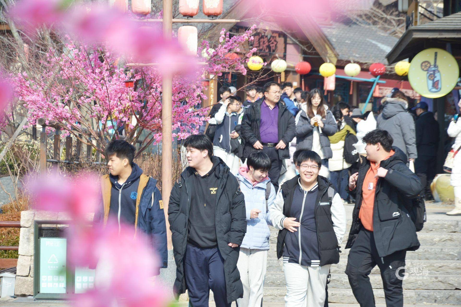 观赏唐风建筑、学习滑雪技能……青岛高三学子冰雪研学释放备考压力谈球吧体育(图1)