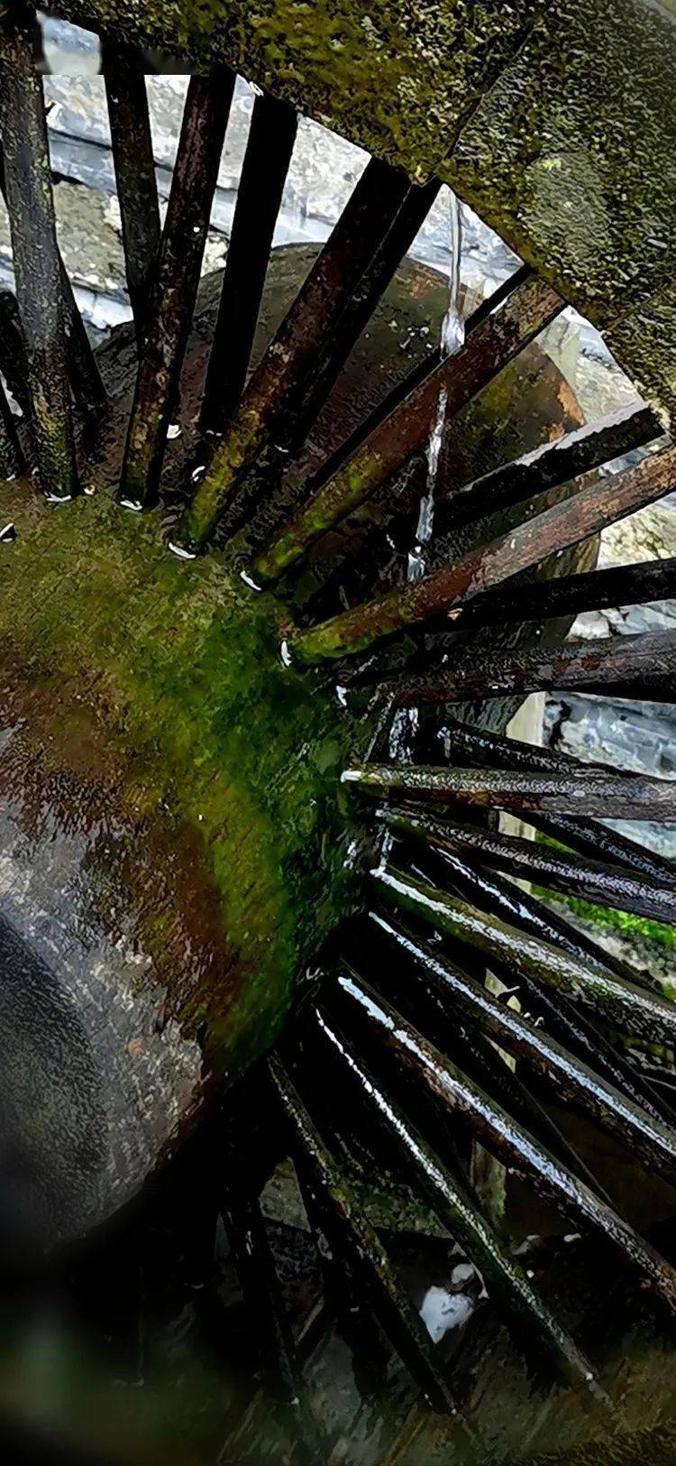 ��������΢��Ӱ��һ�������조����֮�ġ�