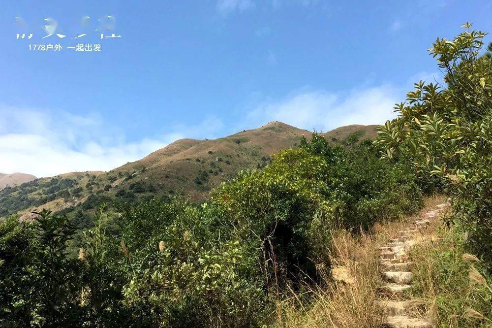 【凤凰径】3月4-5日多期 香港五星营地贝澳露营 醉美凤凰径徒步