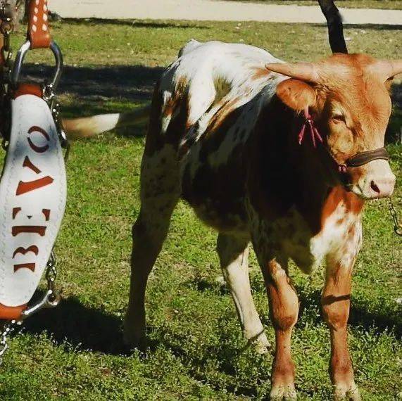 30��ȫ��������������ѡ��Ĵ�ѧ��ѧ����ס���ޣ�˭��Ľ ...