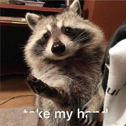 30��ȫ��������������ѡ��Ĵ�ѧ��ѧ����ס���ޣ�˭��Ľ ...