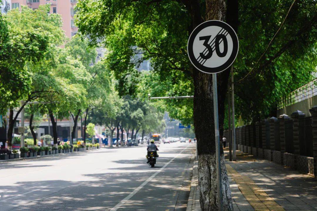 天河粤垦路，浓缩了半个广东的地道风味！