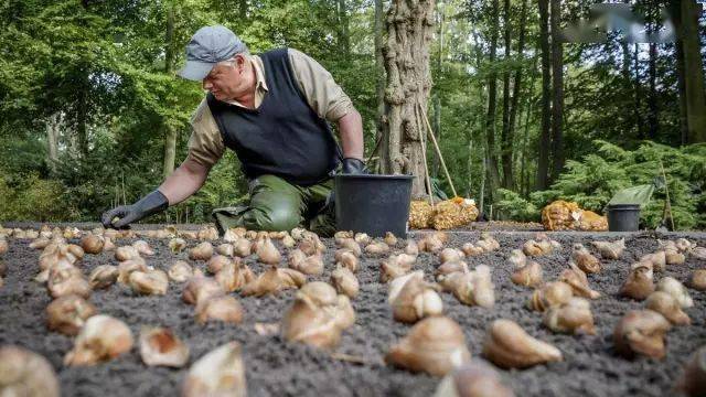 �����������Ŀ�ĵأ�������ϻ��򻨻ܹ�԰��