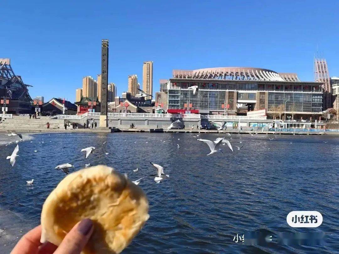 天津的海鸥，奏耐吃油酥烧饼！