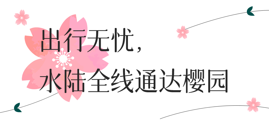 夜樱开放！东湖樱花节最全攻略请收好