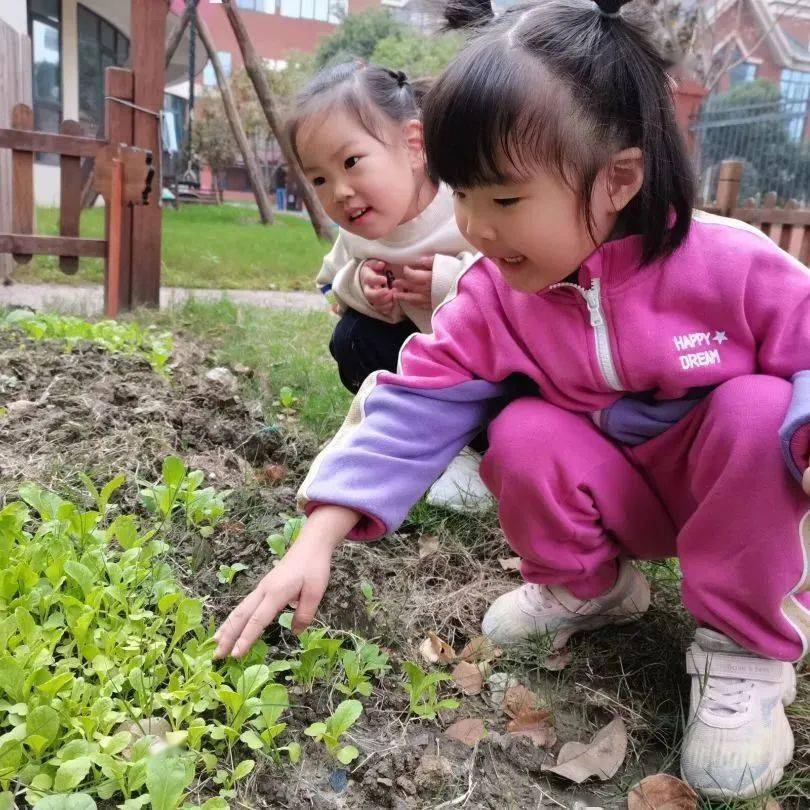 嘉兴那所幼儿园也搞半日体验了！户外亲子游戏、点心茶歇、语言启蒙...名额不多，抓紧来抢！都雅、好吃、好玩…