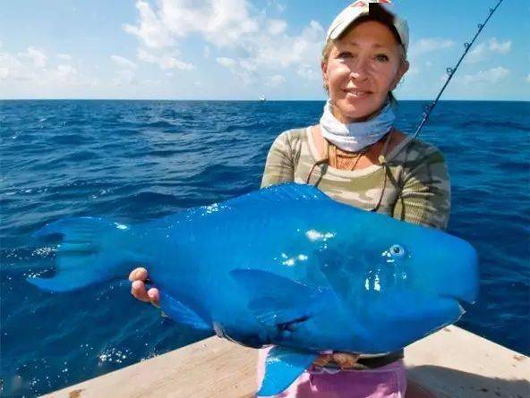 ��֪��������������ϸ��ɳ̲����ʵ���㡾��㡿��