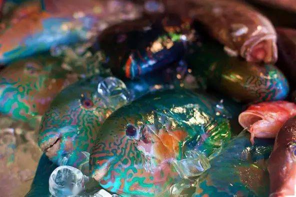 ��֪��������������ϸ��ɳ̲����ʵ���㡾��㡿��