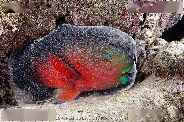 ��֪��������������ϸ��ɳ̲����ʵ���㡾��㡿��